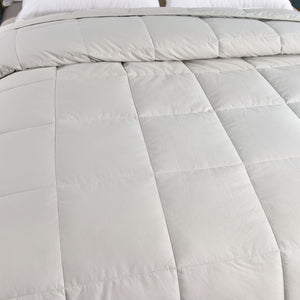 Candid Bedding All Season Essential Alternative Goose Down Comforter, Quilted Duvet Insert (Silver)