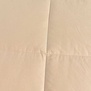 Candid Bedding All Season Essential Alternative Goose Down Comforter, Quilted Duvet Insert (Beige)